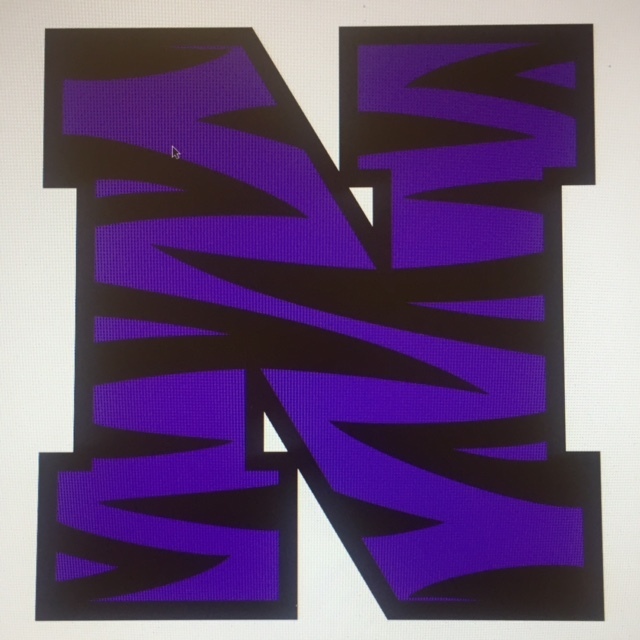 Tiger N Logo