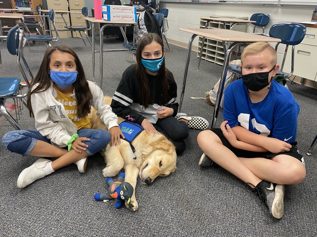 Students spending quality time during homeroom with rocky!